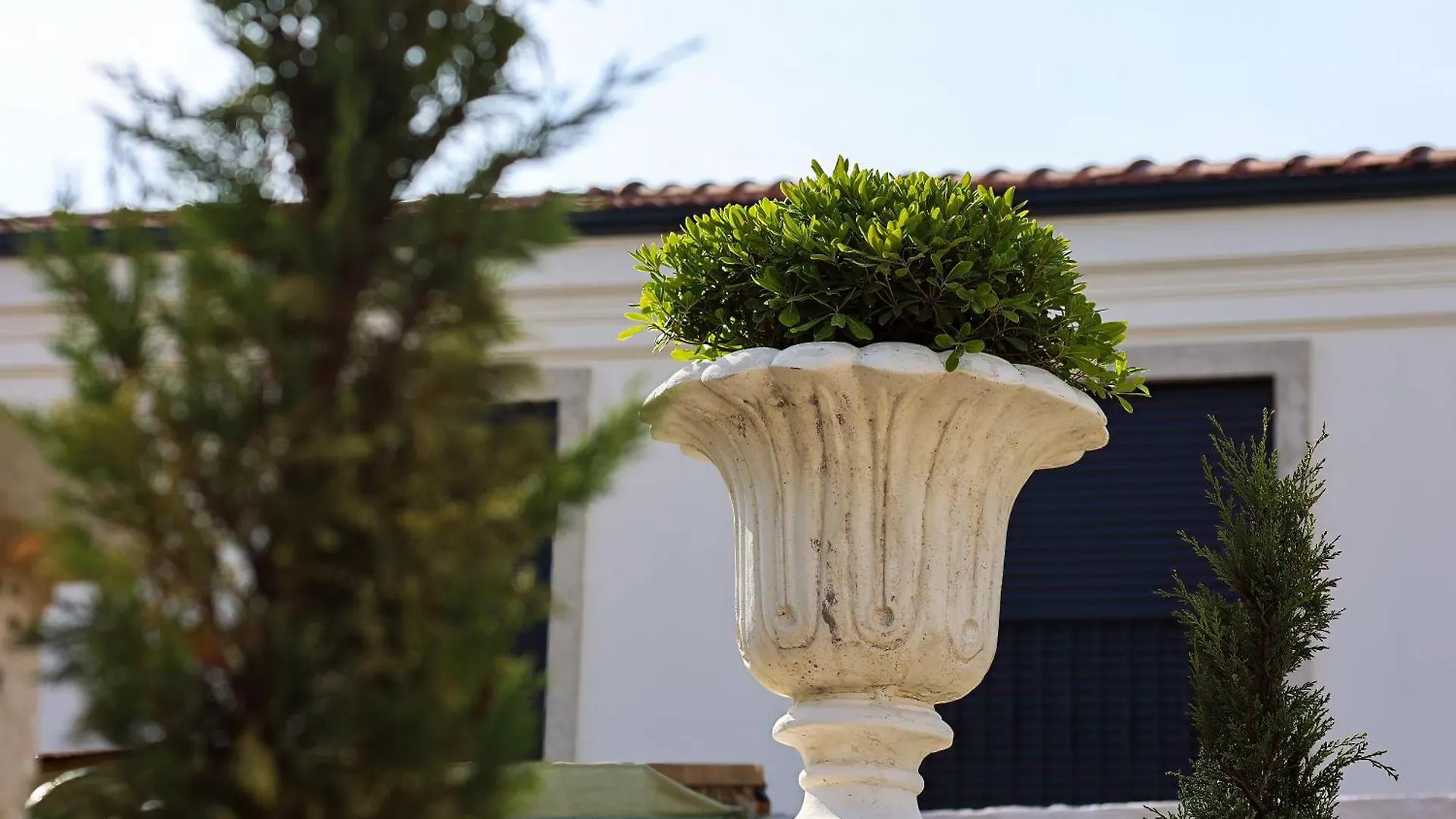 Hotel Voger Alacati Pino